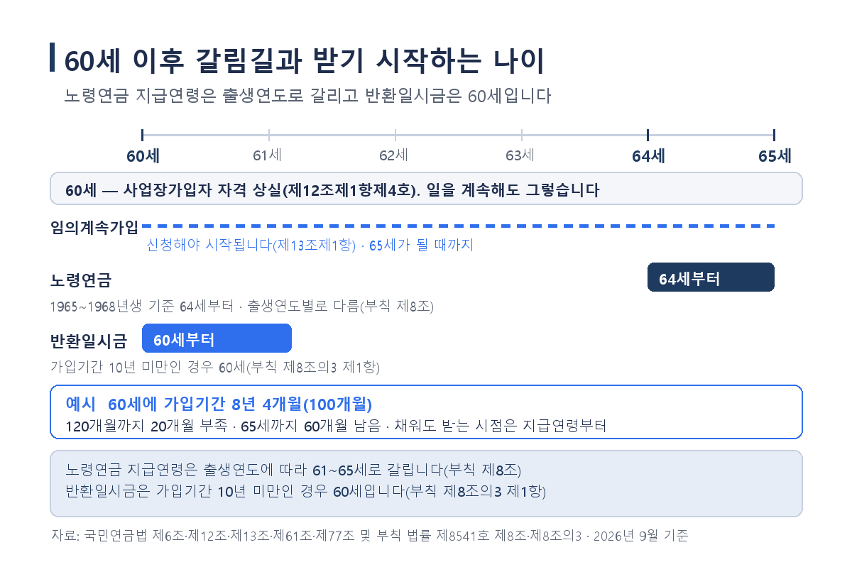국민연금 임의계속가입 보험료, 신청 자격과 반환일시금 비교